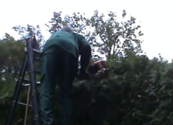 Snoeiende mbo-studenten in Hardenberg