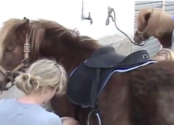 BSO op paardenmelkerij in Etten-Leur BSO op paardenmelkerij in Etten-Leur
