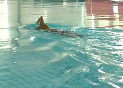 Vooralsnog behoud schoolzwemmen voor Kampens speciaal onderwijs