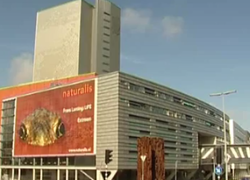 Superzintuigen voor leerlingen in Naturalis Superzintuigen voor leerlingen in Naturalis