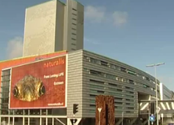 Superzintuigen voor leerlingen in Naturalis