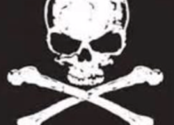 Piratenmusical basisschool Stelaertshoeve Piratenmusical basisschool Stelaertshoeve