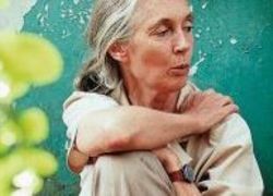dr. Jane Goodall (foto: wageningenur)