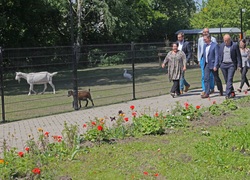 Sharon Dijksma is op weg naar de bijenstal in Groen Leefpark Ede. Achter haar (vlnr) Bram Wits (politiek assistent Sharon Dijksma), Mark Dees (directeur Groenhorst Ede), Raşit Görgülü (PvdA-raadslid in Ede), Ton Spierings (mbo-coördinator Groenhorst Ede) 