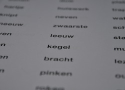 Normal_woordrijtjes