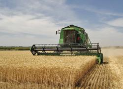 Normal_agriculture_in_volgograd_oblast_002