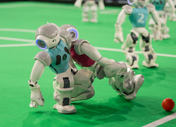 RoboCup 2013