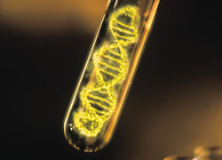 Normal_dna_test_tube