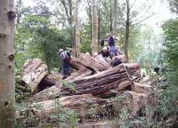 Tolhuispark Dokkum spelen op de houtstapel (NME)