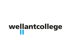 Logo_wellant-logo