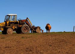 Normal_bouw_tractor_traktor_landbouw