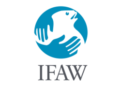 Logo_161px-ifaw.svg