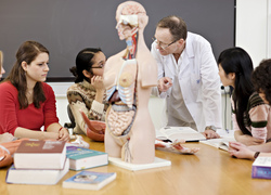 Normal_zorgonderwijs__dokter__college__les__studenten__hbo__biologie__docent