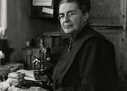 Johanna Westerdijk, eerste vrouwelijke hoogleraar van Nederland Johanna Westerdijk, eerste vrouwelijke hoogleraar van Nederland