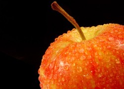 Normal_appel_fruit_gezond