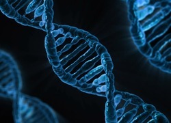 Normal_dna_genen