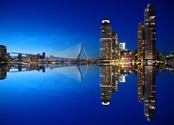 Normal_rotterdam-1598418_960_720
