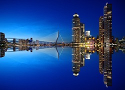 Normal_rotterdam-1598418_960_720