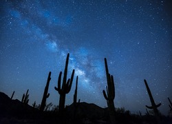 Normal_milky-way-923738_1920