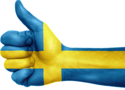 Logo_normal_sweden-983435_960_720__1_