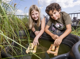 Normal_techniek_330018