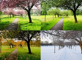 Normal_the-four-seasons