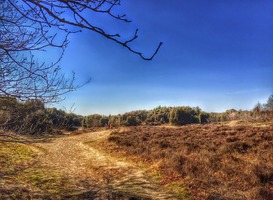 Normal_drenthe__mantingerveld