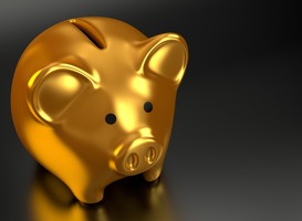 Normal_piggy-bank-2889046_1920