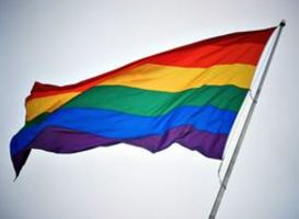 Normal_normal_gay_vlag__2__homo