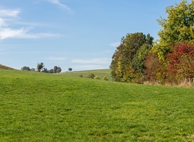 Natuurorganisatie IVN leidt schoolgidsen op voor nationale parken in Limburg