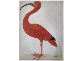 Promoveren in de kunsten kan nu in Maastricht