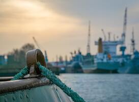 Normal_bridge-cargo-coast-cranes-70419