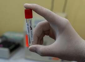 Volgens GGD-directeur Sjaak de Gouw hebben in het eerste uur meer dan 3.100 mensen geprobeerd een afspraak te maken. De GGD en het ministerie van Volksgezondheid meldden eerder op een paar duizend tests per dag te rekenen, schrijft NU.nl. Zorg- en onderwi Volgens GGD-directeur Sjaak de Gouw hebben in het eerste uur meer dan 3.100 mensen geprobeerd een afspraak te maken. De GGD en het ministerie van Volksgezondheid meldden eerder op een paar duizend tests per dag te rekenen, schrijft NU.nl. Zorg- en onderwi