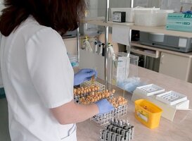 Zwolse mbo- en hbo-scholen starten met eigen teststraat voor docenten Zwolse mbo- en hbo-scholen starten met eigen teststraat voor docenten