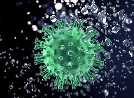 Belgisch onderzoek: jonge kinderen toch vaak besmet met coronavirus