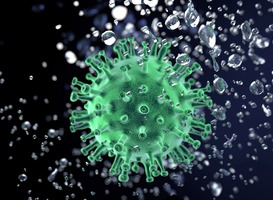 Belgisch onderzoek: jonge kinderen toch vaak besmet met coronavirus Belgisch onderzoek: jonge kinderen toch vaak besmet met coronavirus