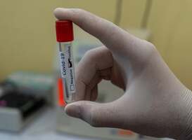 'Regelmatig testen kan coronauitbraken op basisscholen voorkomen'