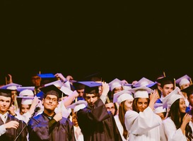 Hogescholen introduceren eigen doctoraatstraject: Professional Doctorate