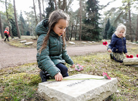 4 mei: kinderen leggen op ieder graf een bloem op Nationaal Ereveld Loenen