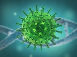 Aantal coronabesmettingen nu ook afgenomen onder jongeren