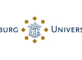 Prof dr Paul van Geest treedt toe tot EASA Prof dr Paul van Geest treedt toe tot EASA