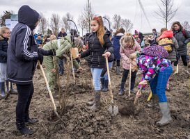 Op Boomfeestdag planten duizenden kinderen honderdduizenden bomen