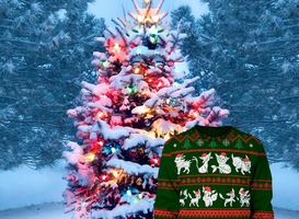 Foute kersttruien op basisschool voor actie van Save the Children 'Bordje bij!'