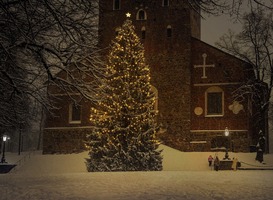 Kerstbomenactie met kans op prijs voor kinderen in Haarlem 