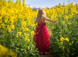 Als kinderen eenmaal op de boerderij zijn willen ze vaak niet meer weg