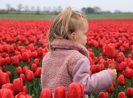 In de loop van de voorjaarsvakantie rustiger weer met zon in Noord-Nederland