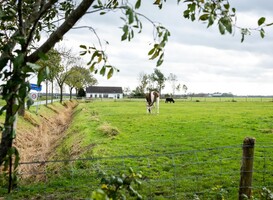 Hanze-onderzoekers geven Tweede Kamer advies over versterking woningen Hanze-onderzoekers geven Tweede Kamer advies over versterking woningen