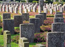 Oorlogsgraven schoongemaakt door leerlingen OBS Gieten Oorlogsgraven schoongemaakt door leerlingen OBS Gieten