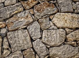 Honderd tegels vervangen voor planten, Terra Assen pakte de wijk aan Honderd tegels vervangen voor planten, Terra Assen pakte de wijk aan