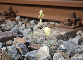 Normal_railroad-track-72567_1920